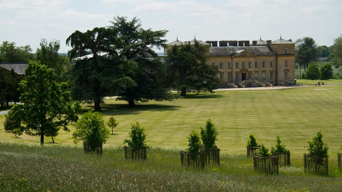 A view of new and mature trees in the parkland at Croome, with house in the distance
