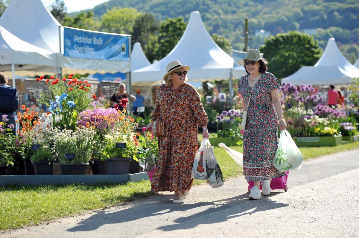 two people shopping for plants at an outdoor market
