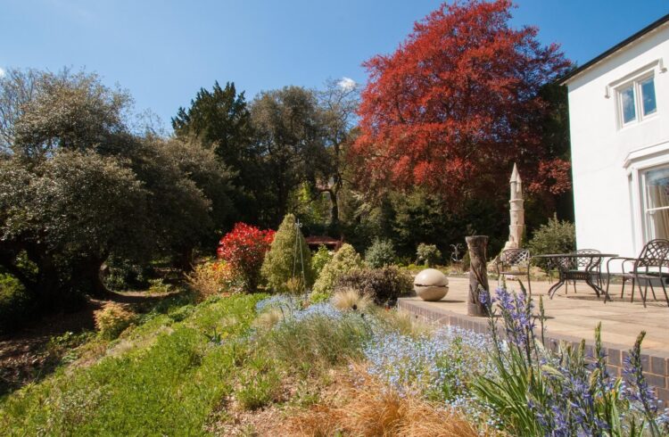 The Dell House itself with terrace area, plants and trees